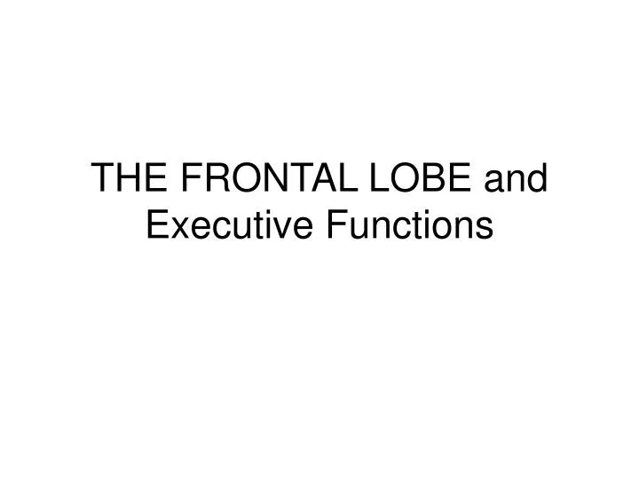 the frontal lobe and executive functions