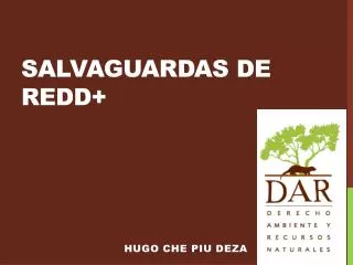 salvaguardas de redd