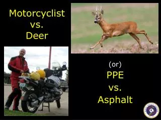 Motorcyclist vs. Deer