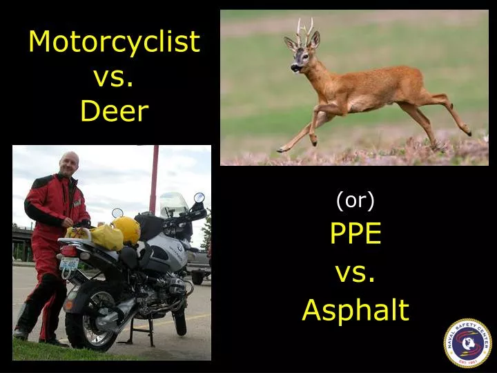 motorcyclist vs deer