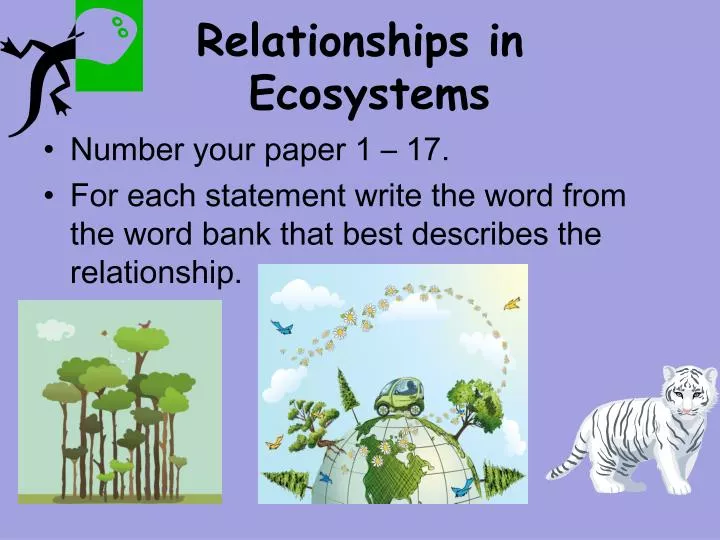 relationships in ecosystems