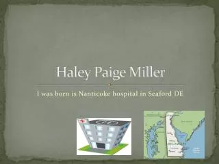 Haley Paige Miller