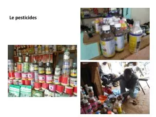 le pesticides