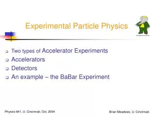 Experimental Particle Physics