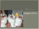 Genetics - slide 1