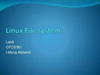 Linux File system