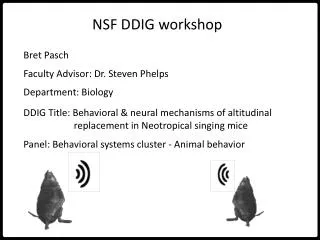 NSF DDIG workshop