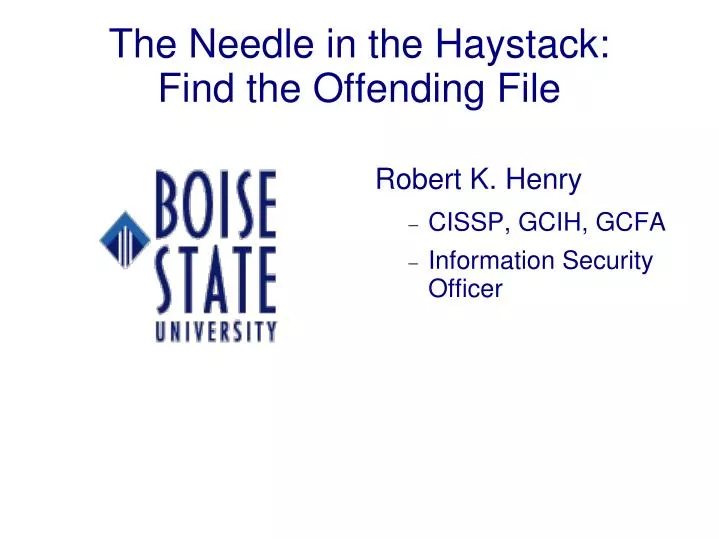 the needle in the haystack find the offending file