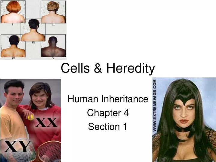 cells heredity