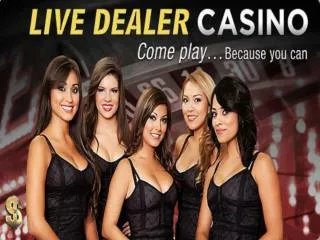 Top Rated Online Casino