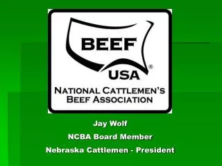 Jay Wolf NCBA Board Member Nebraska Cattlemen - President
