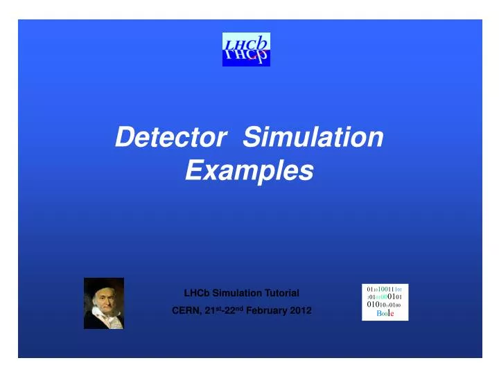 detector simulation examples