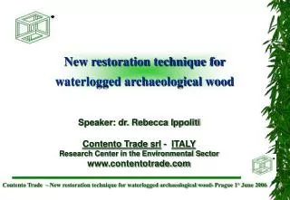 New restoration technique for waterlogged archaeological wood