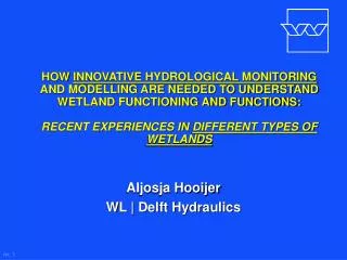 Aljosja Hooijer WL | Delft Hydraulics