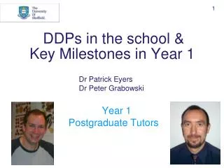 DDPs in the school &amp; Key Milestones in Year 1