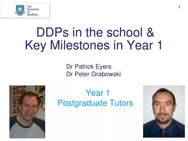 ddps in the school key milestones in year 1