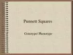 Punnett Squares - slide 1
