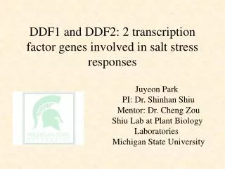 DDF1 and DDF2: 2 transcription factor genes involved in salt stress responses