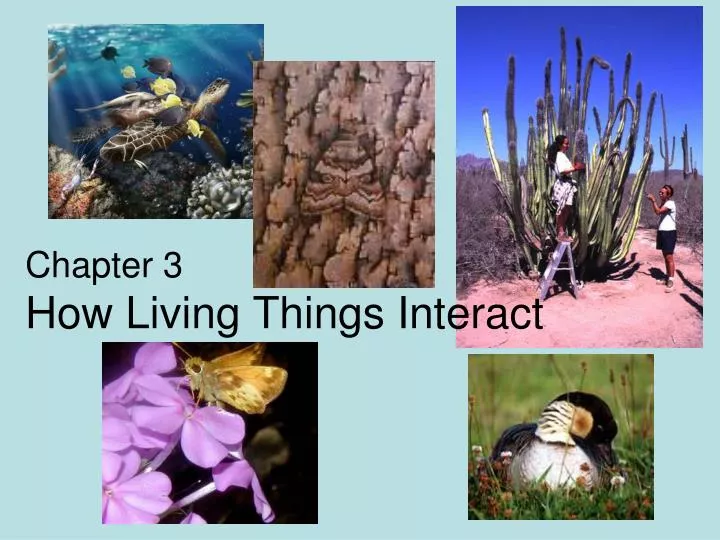 chapter 3 how living things interact