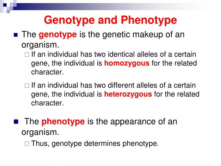 genotype and phenotype