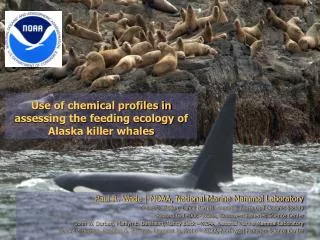 Use of chemical profiles in assessing the feeding ecology of Alaska killer whales