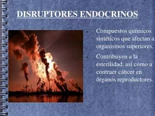 disruptores endocrinos