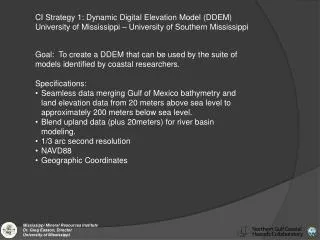 CI Strategy 1: Dynamic Digital Elevation Model (DDEM)