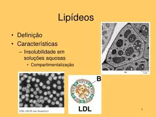 lip deos