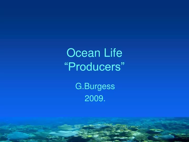 ocean life producers