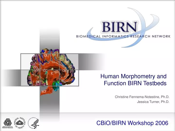 human morphometry and function birn testbeds