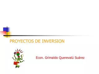 proyectos de inversion