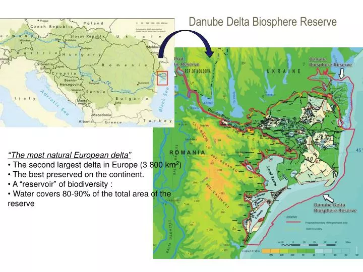danube delta biosphere reserve