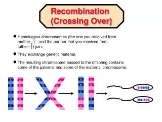 Homologous chromosomes (the one you received from