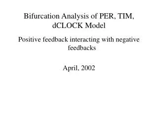 Bifurcation Analysis of PER, TIM, dCLOCK Model