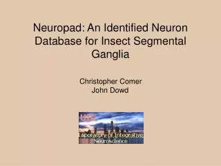 Neuropad: An Identified Neuron Database for Insect Segmental Ganglia