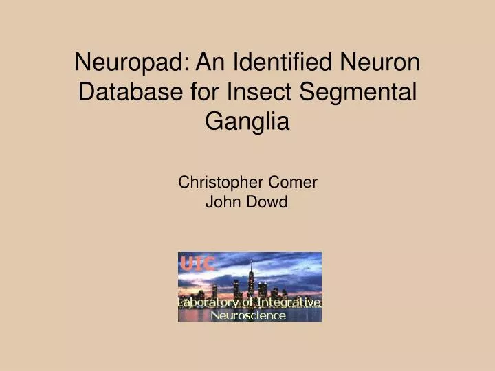neuropad an identified neuron database for insect segmental ganglia