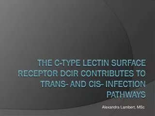 The C-type lectin surface receptor DCIR contributes to trans- and cis - infection pathways