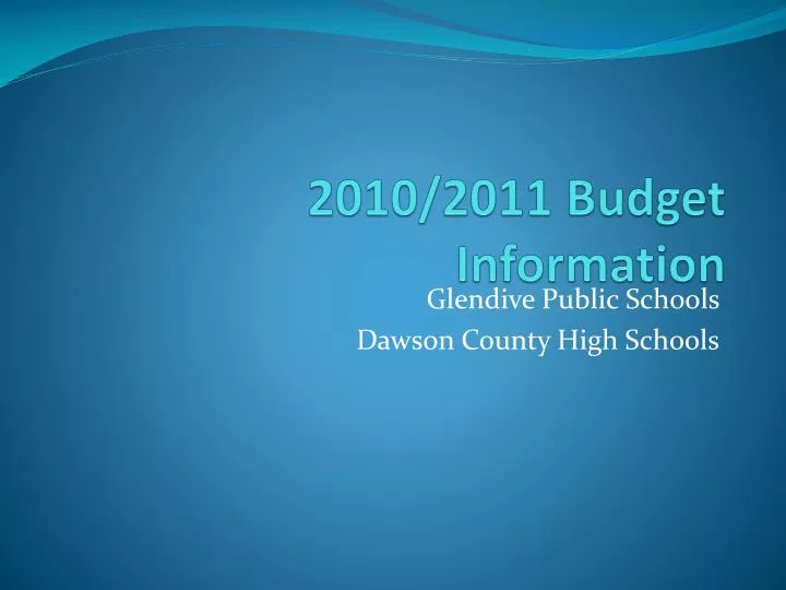 2010 2011 budget information