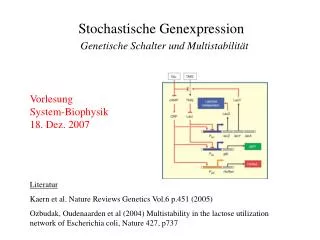 Stochastische Genexpression