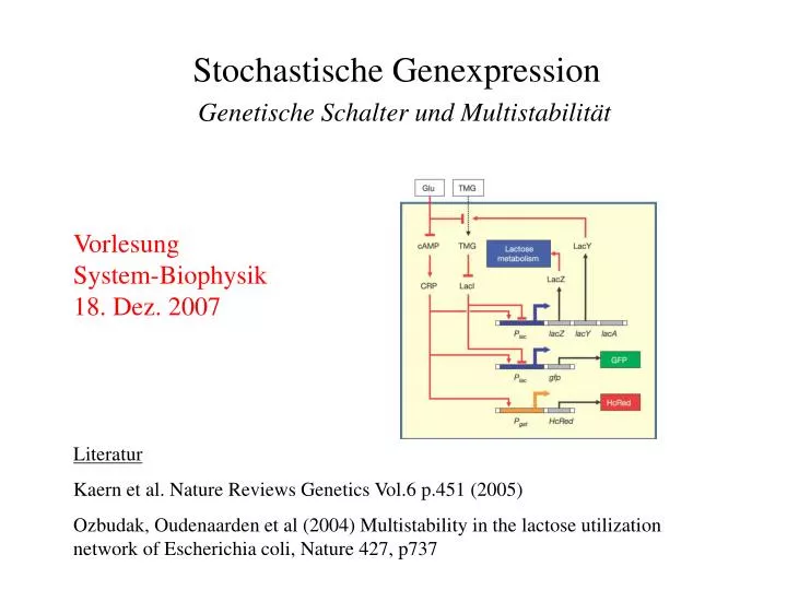 stochastische genexpression