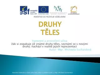 druhy t les