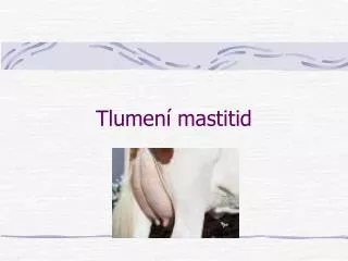 tlumen mastitid