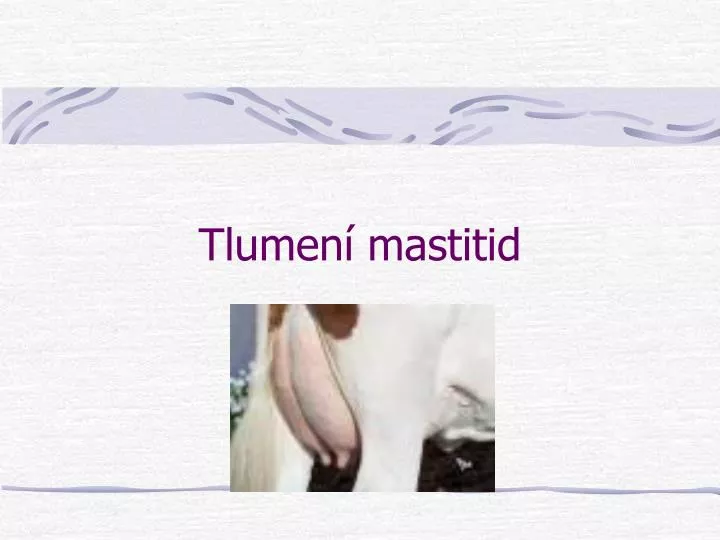 tlumen mastitid