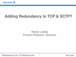 Adding Redundancy to TCP &amp; SCTP?
