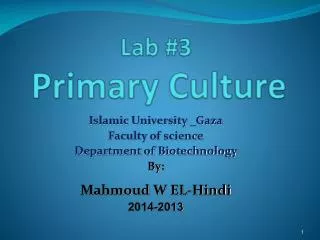 Lab #3 Primary Culture