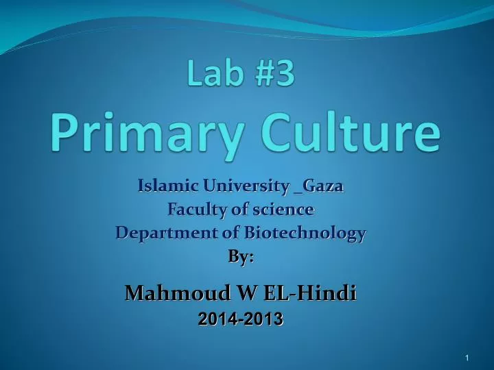 lab 3 primary culture