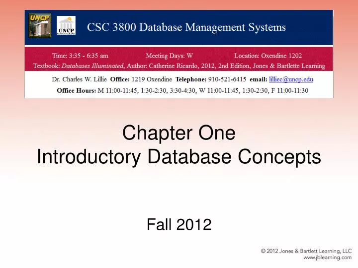 chapter one introductory database concepts