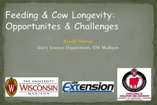 Feeding &amp; Cow Longevity: Opportunites &amp; Challenges
