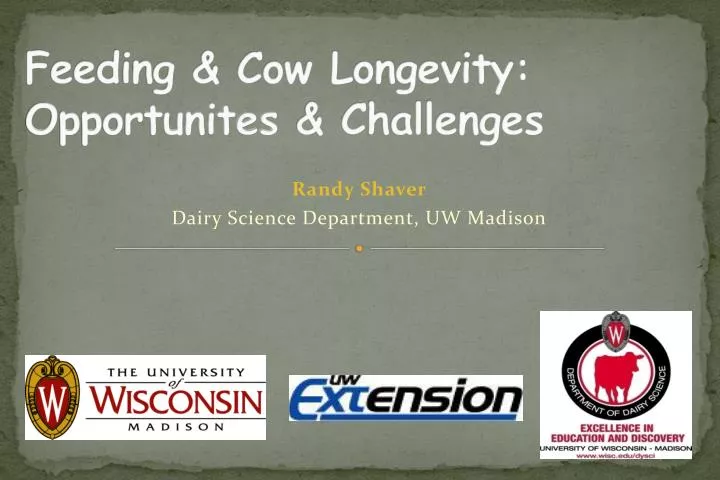 feeding cow longevity opportunites challenges