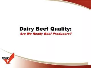 Dairy Beef Quality: Are We Really Beef Producers?